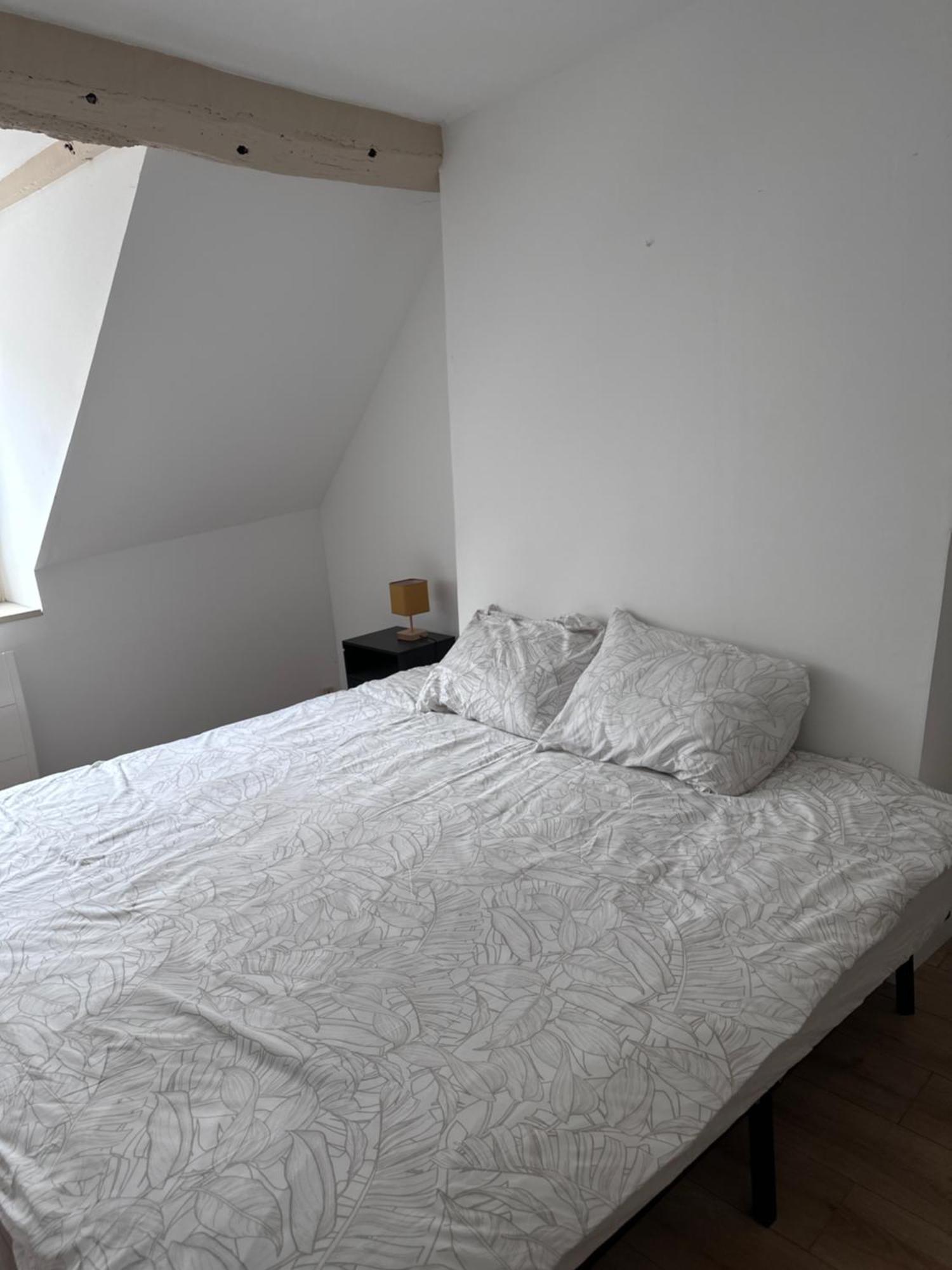 Appartement Luxe Modern I Centre Chatelet Orléans